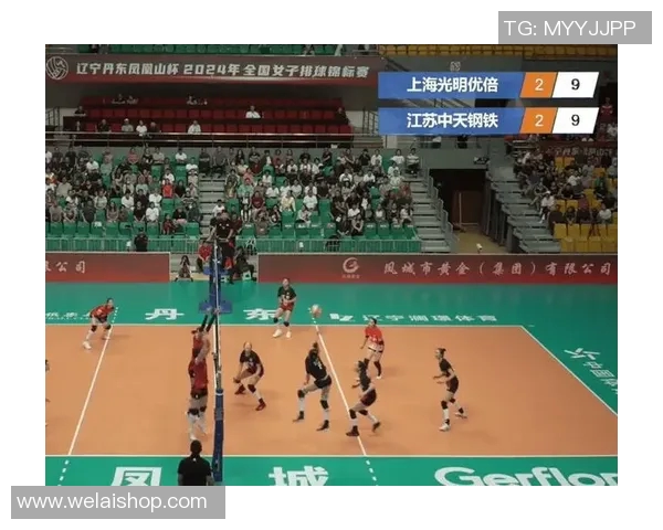 上海排球队在全国排球配合排行榜中荣获第六名的佳绩引发关注